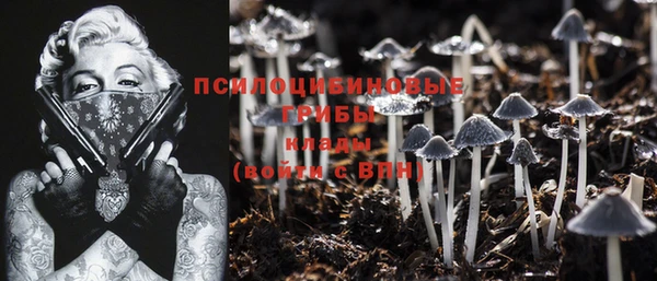 PSILOCYBIN Мегион