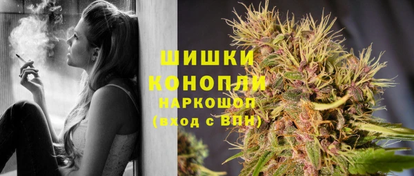 винт Магас