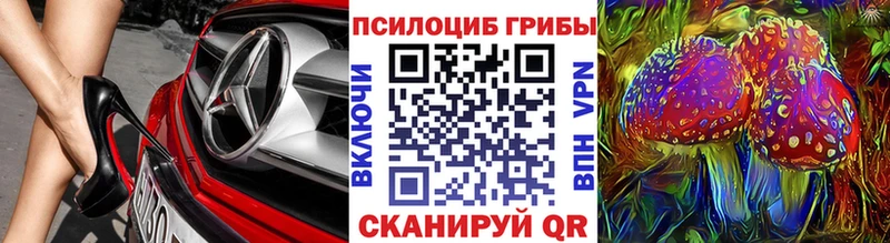 Галлюциногенные грибы мухоморы как найти наркотики Чусовой