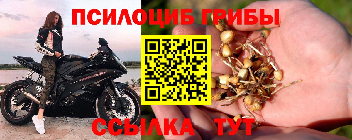 Галлюциногенные грибы мухоморы  Галлюциногенные грибы мицелий  Чусовой  Вход с VPN 