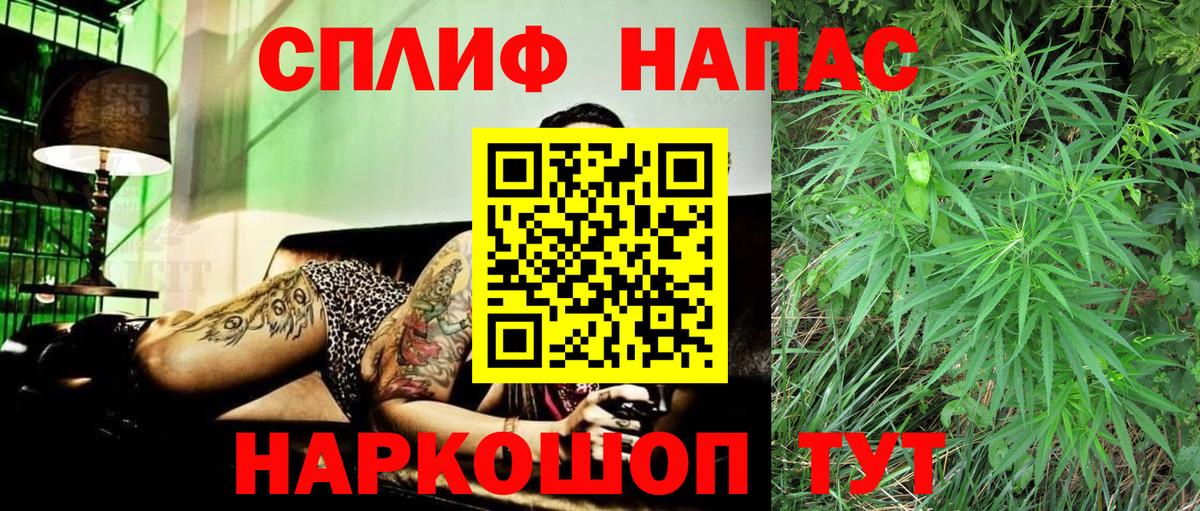 Конопля сатива  Чусовой  Шишки марихуана Amnesia  Конопля Bruce Banner 